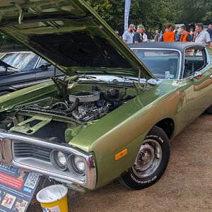 Canford_2026_012.jpg