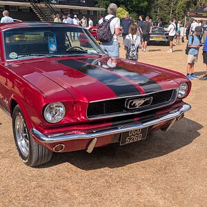 Canford_2026_010.jpg