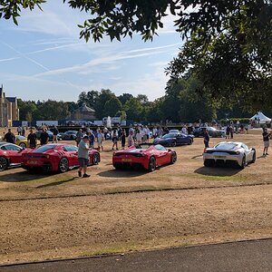 Canford_2026_007.jpg