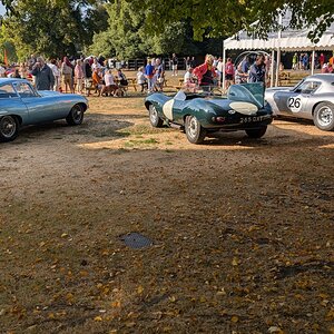 Canford_2026_006.jpg