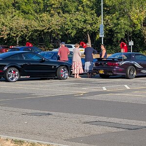 Canford_2026_001.jpg
