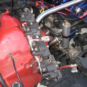 IMG 7726