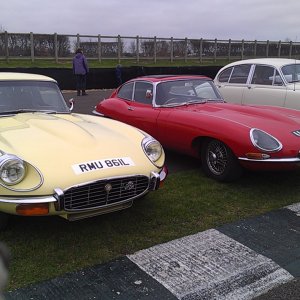 Goodwood BC March 2013 001