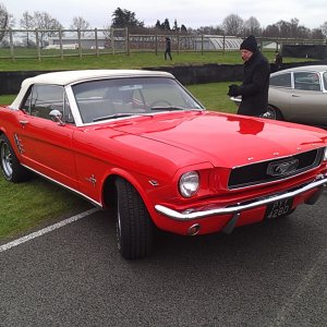 Goodwood BC March 2013 016