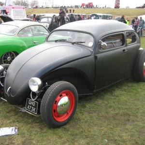 Chopped Bug