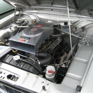 IMG 7969