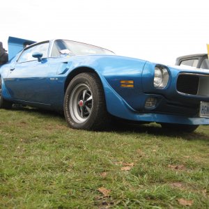Bullnose Firebird Trans-Am in blue with white racing stripes