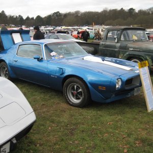 Bullnose Trans-Am