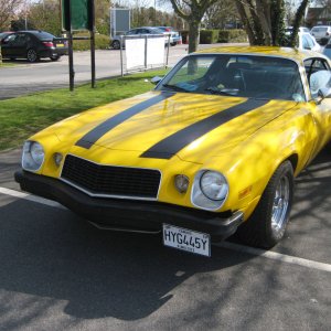 Matts Bumble Bee Chevy Camaro