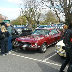 Photo0082
