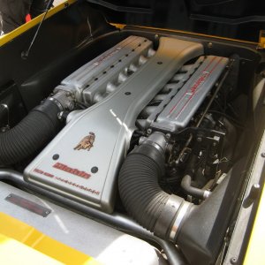 Lambo engine