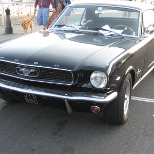 pq20080822 031