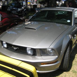 Late Mustang
