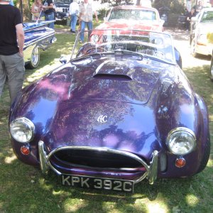 Purple AC Cobra