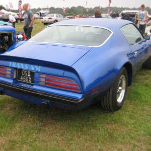 151