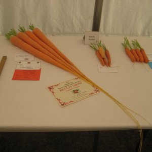 Very long carrots