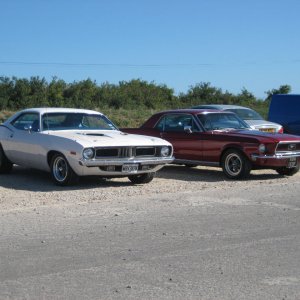 Mustang and Barracuda