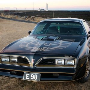 Trans Am Bandit