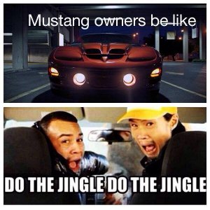 Trans Am Mustang Owners