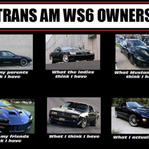 Trans Am WS6 owners