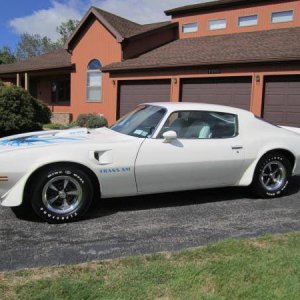 Trans Am White Bull Nose