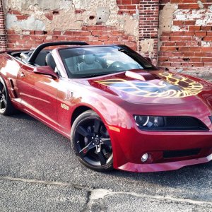 TransAm 2014