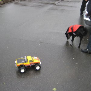 Neo's radio controlled truck