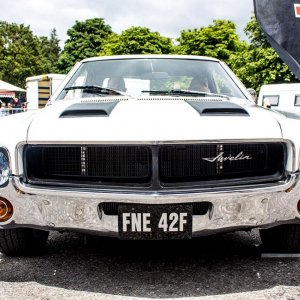 IMG 0297