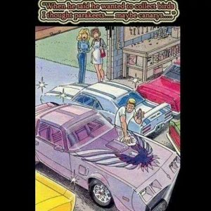 Trans-Am Collector