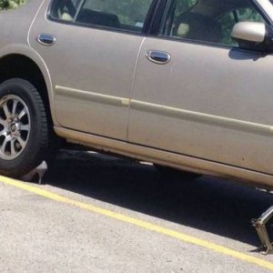 acid picdump 2