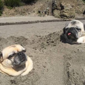 it is a long story as to why they ended up here but they did