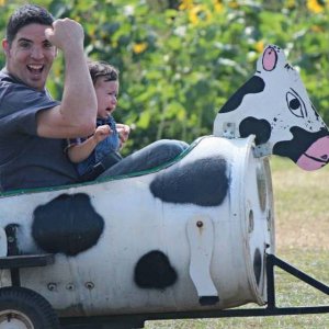 that farm themed amusement park sounded fun on paper