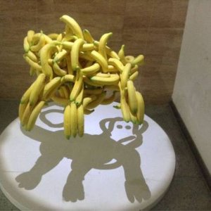 acid picdump 0