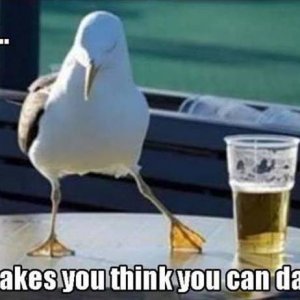 acid picdump 3