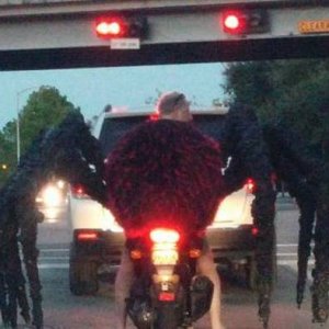 spider bikers coming soon to the syfy channel