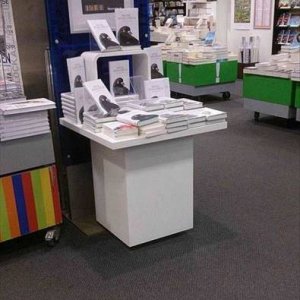 especially since he didn t use ink to sign the books
