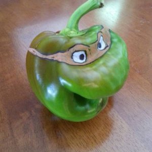 acid picdump 8