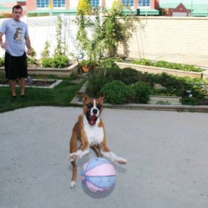 acid picdump 1