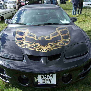 wd20080321 836