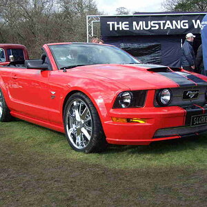 wd20080321 796