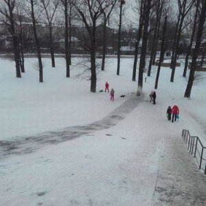 maybe its time to put seat belts on sleds