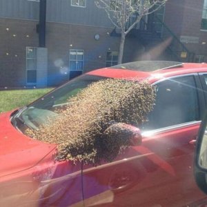 better take the bus today