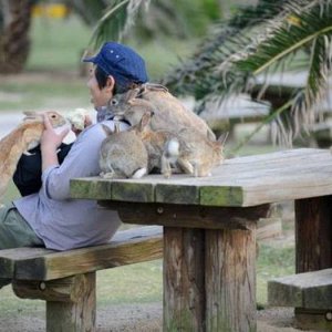 jeremy knew eating carrot cake in the park had risks