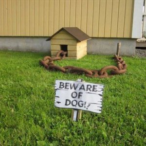 it would fool criminals if the criminals were all mickey mouse villains