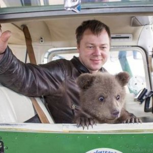when youre a bear and your tinder date turned out to be human