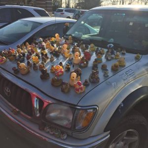 carla couldnt pick just one hood ornament