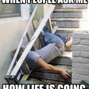 head in the ladder thats how good