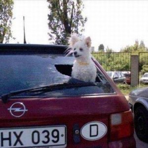 when the where s the squirrel game goes too far