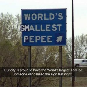 they must have lost dozens of dollars in tourist revenue