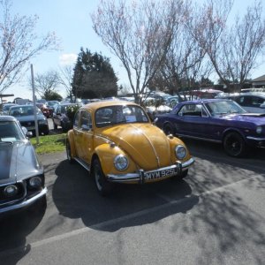 DSCF2808
